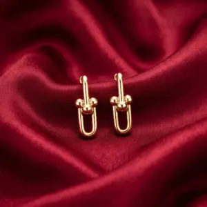Tiffany HardWear, Large Link Earrings Gold Filled