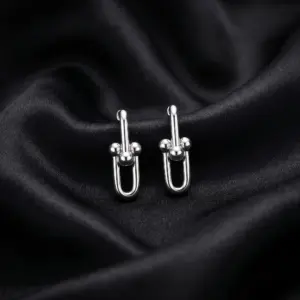 Tiffany HardWear, Large Link Earrings